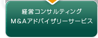 経営コンサルティング・M&Aアドバイザバイザリーサービス